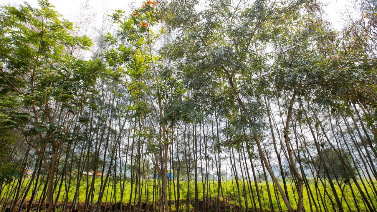 Aara Jungle Resort Coimbatore Buitenkant foto